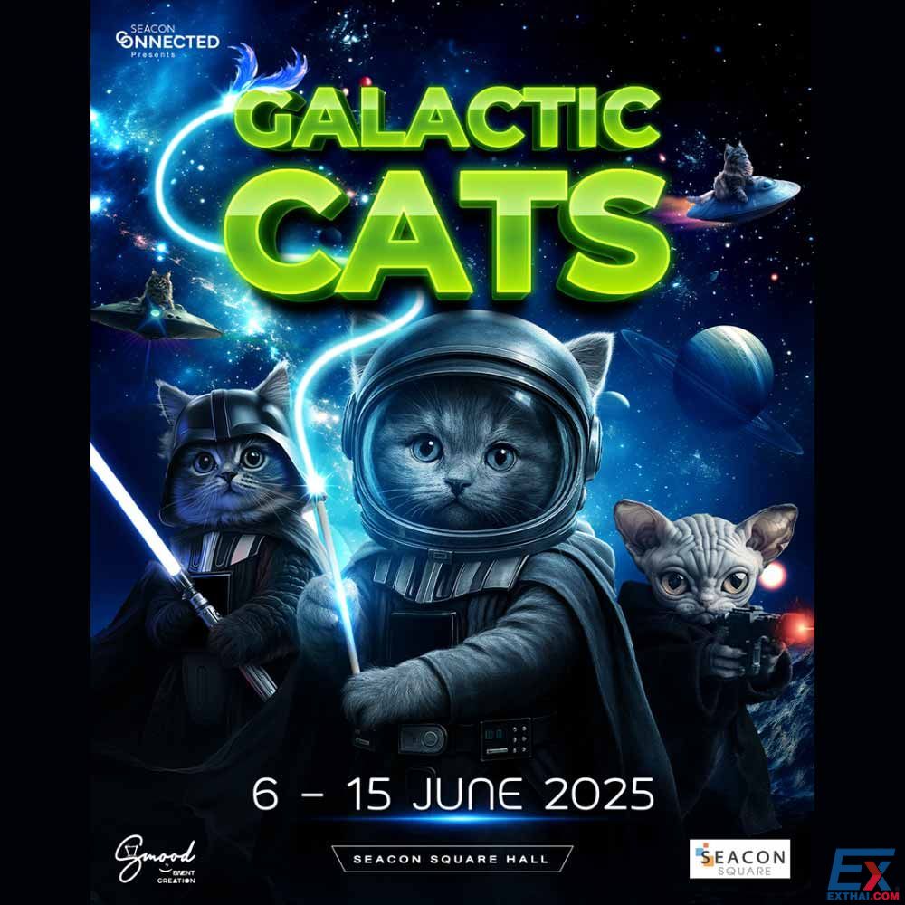 2025年6月6日-15日 Galactic Cats