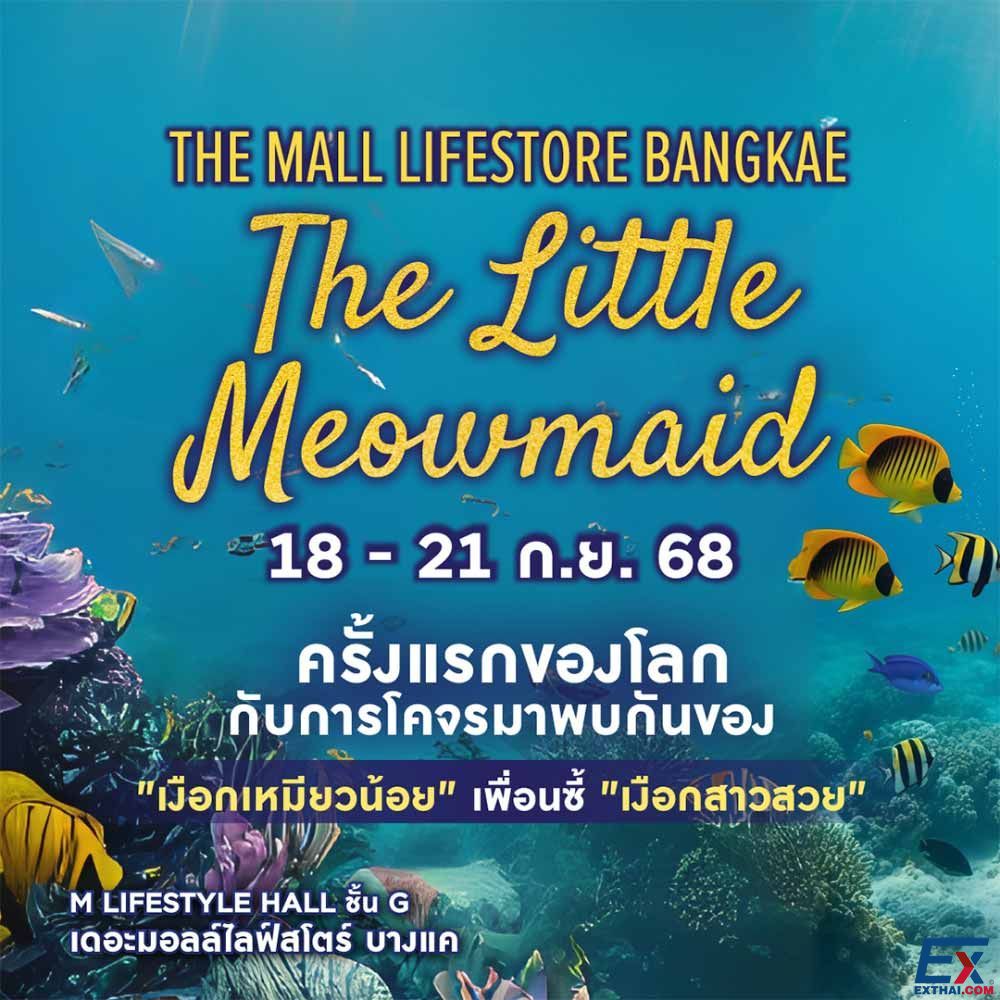 2025年9月18日-21日  The Little Meowmaid