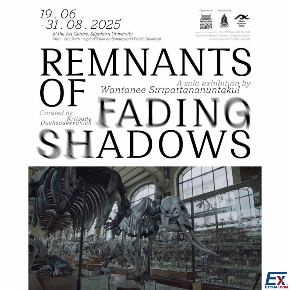 2025年6月19日-8月31日 Remnants of Fading Shadows