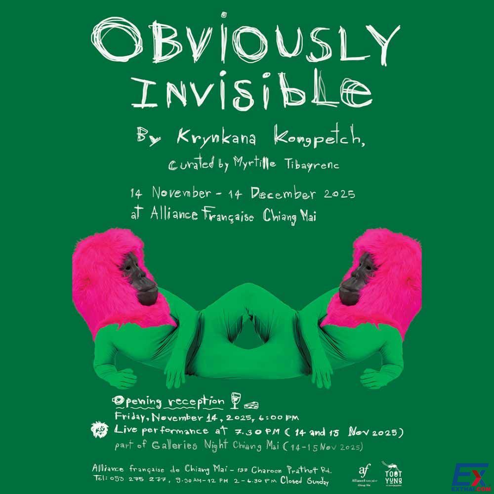 2025年11月14日-12月14日 Obviously Invisible